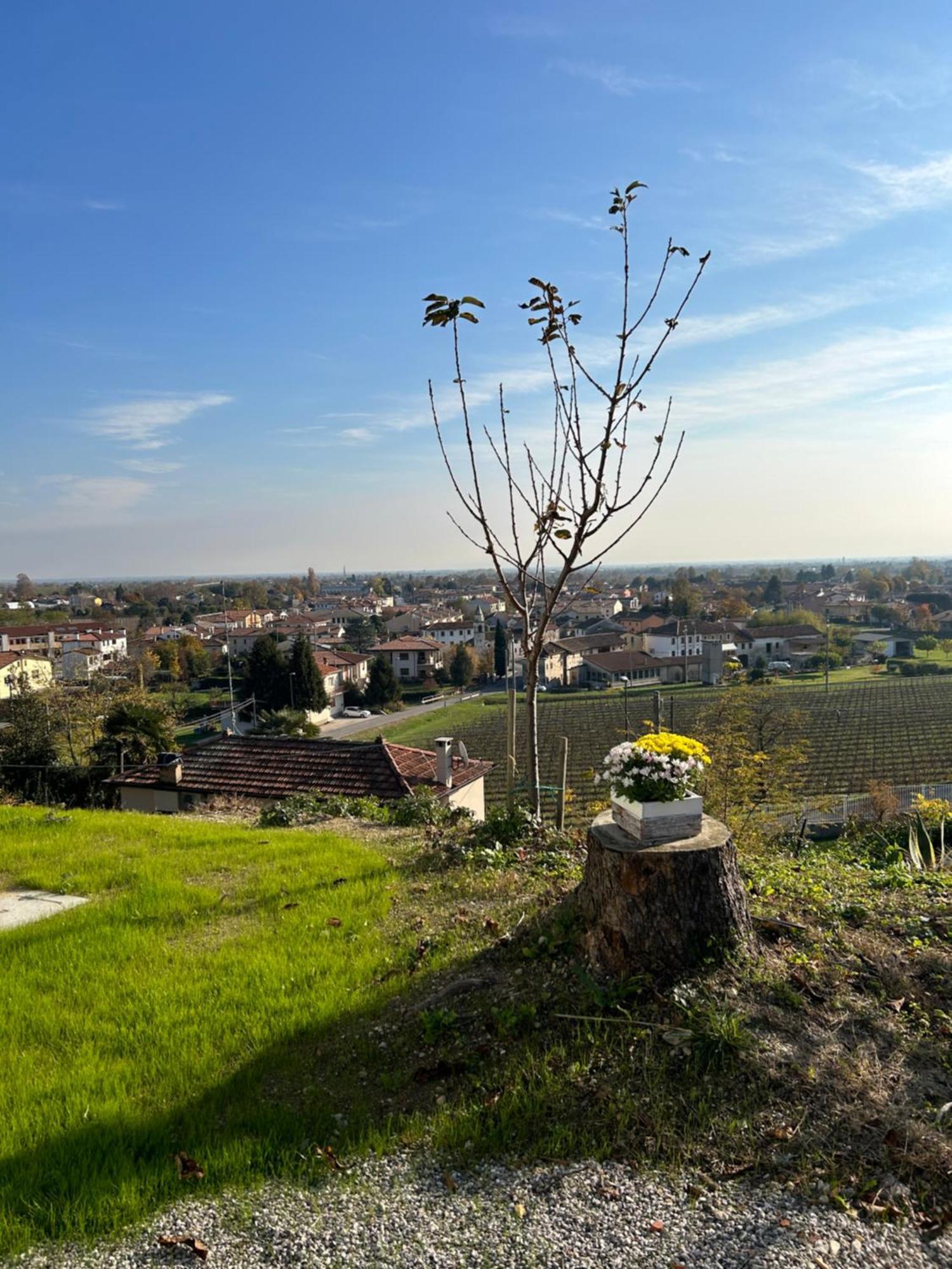 B&B San Martino San Martino  Bagian luar foto
